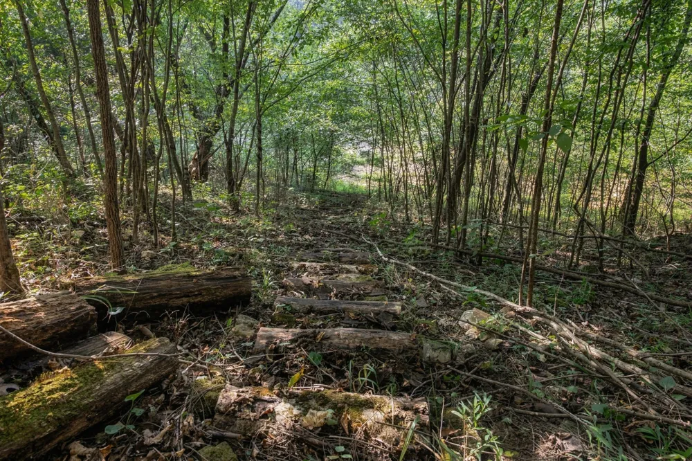 5051 Jones Valley Rd Williamsport, TN 38487