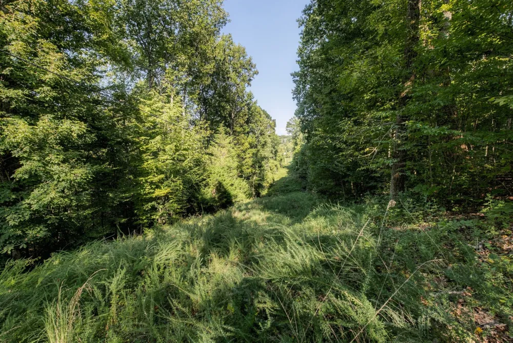 5051 Jones Valley Rd Williamsport, TN 38487