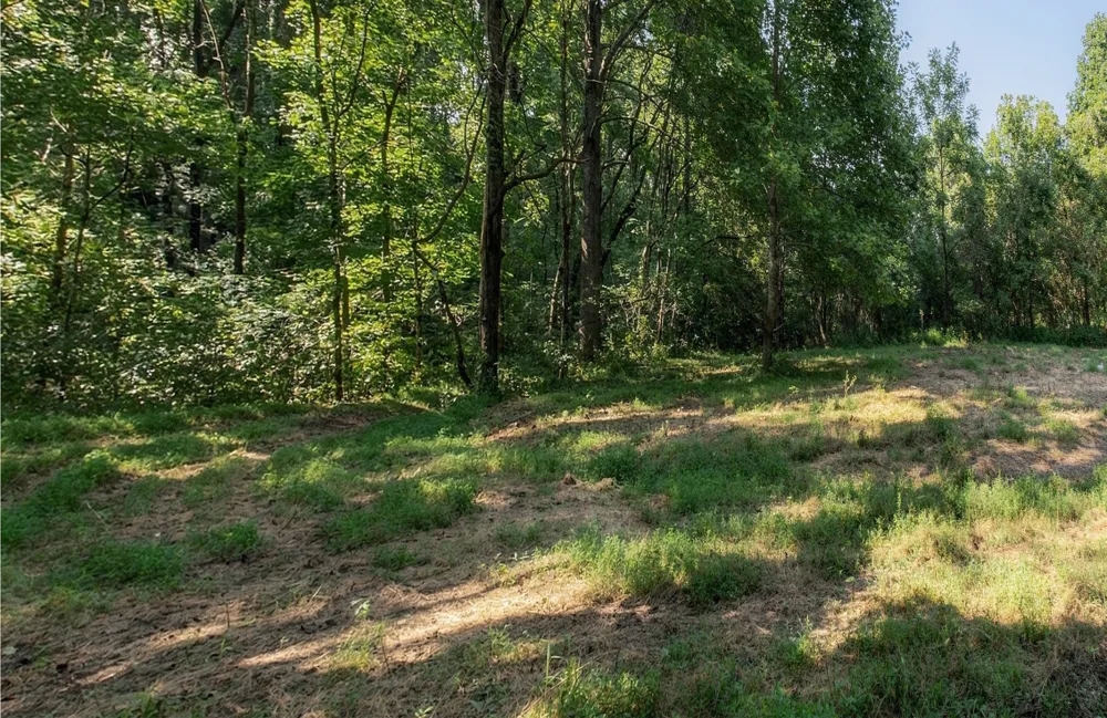 5051 Jones Valley Rd Williamsport, TN 38487