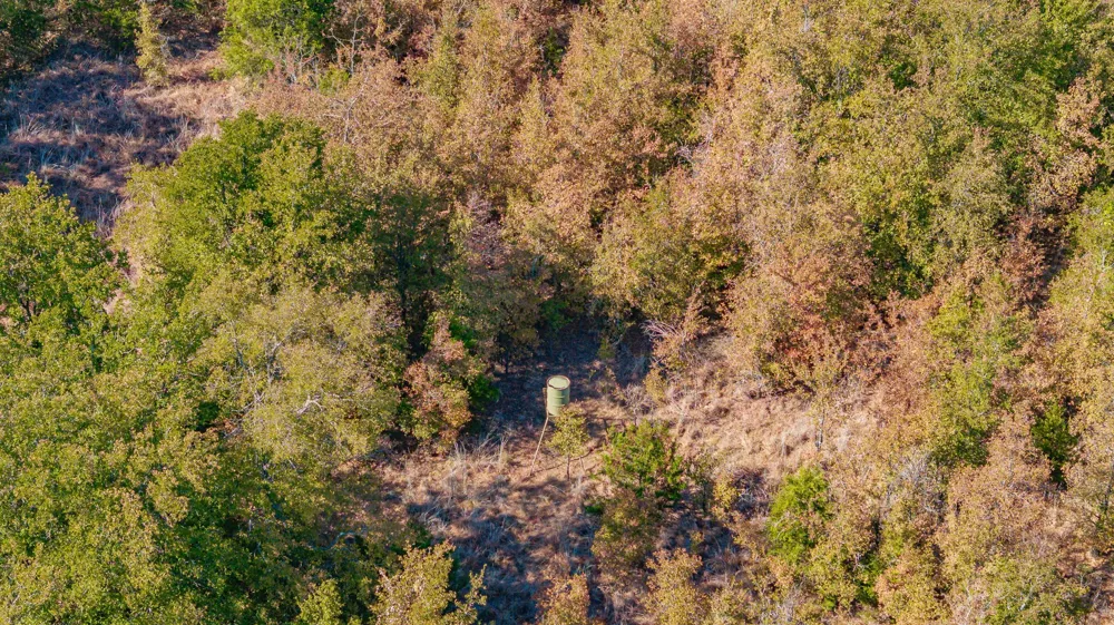 CR 247 Hico, TX 76457