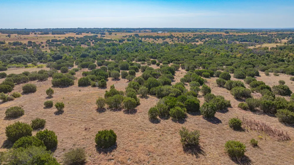 CR 247 Hico, TX 76457
