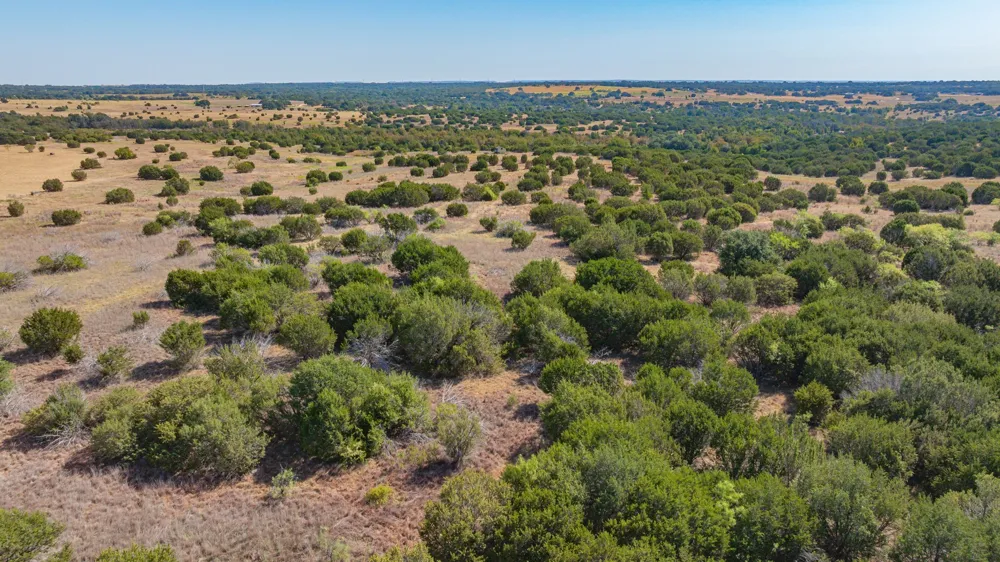 CR 247 Hico, TX 76457