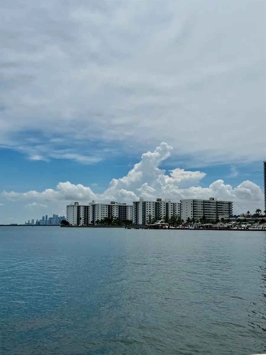 1980 Bay Drive #5 Miami Beach, FL 33141