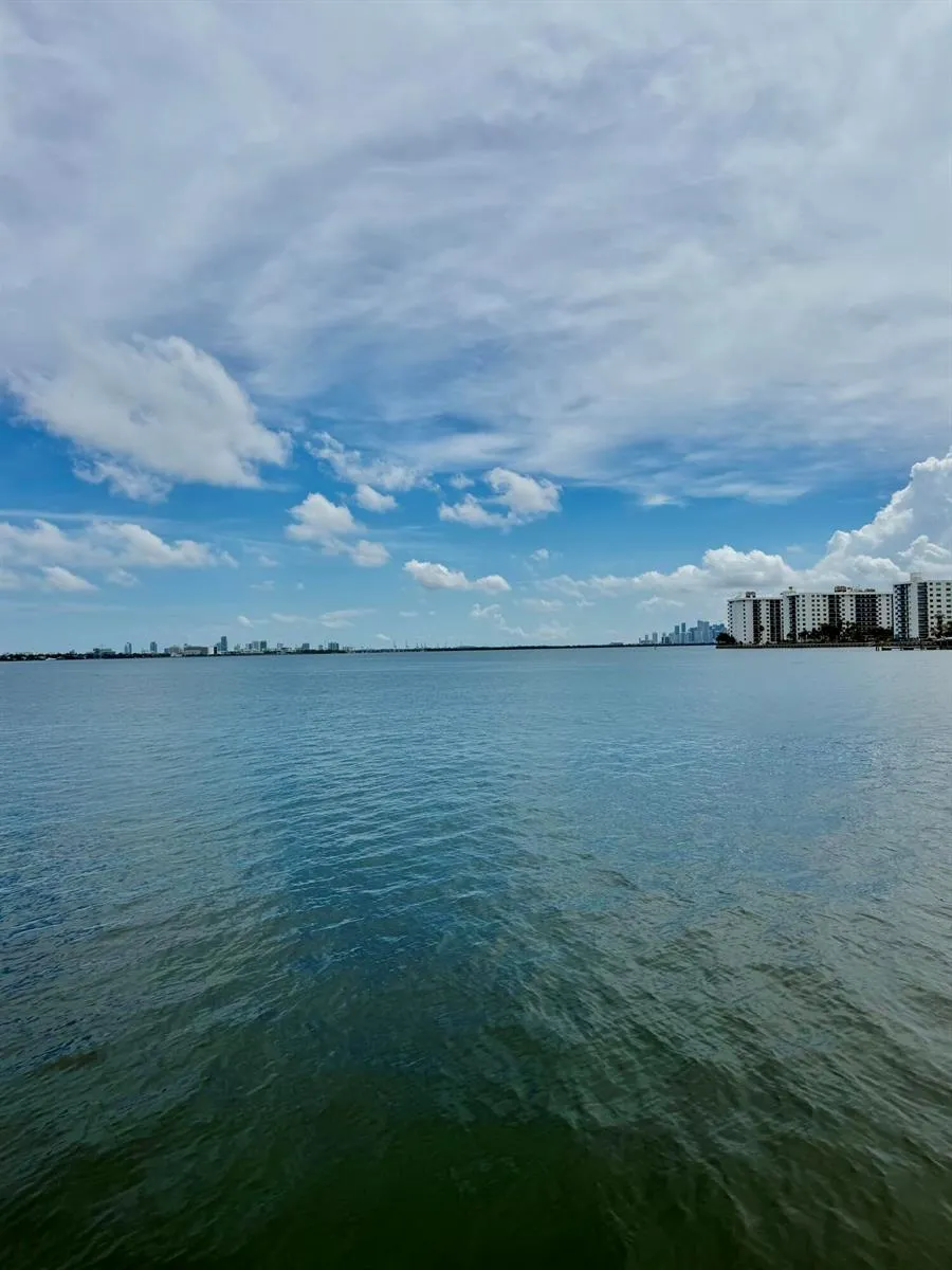 1980 Bay Drive #5 Miami Beach, FL 33141