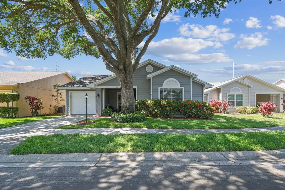 1465 CAIRN COURT Palm Harbor, FL 34683