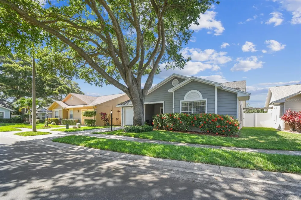 1465 CAIRN COURT Palm Harbor, FL 34683