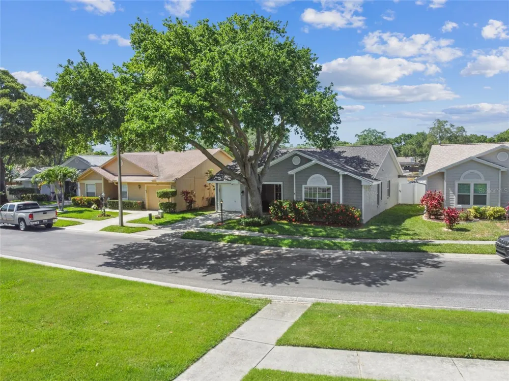 1465 CAIRN COURT Palm Harbor, FL 34683