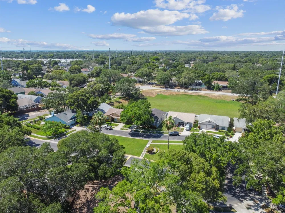 1465 CAIRN COURT Palm Harbor, FL 34683