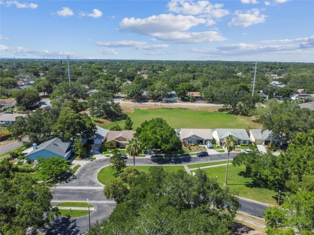 1465 CAIRN COURT Palm Harbor, FL 34683