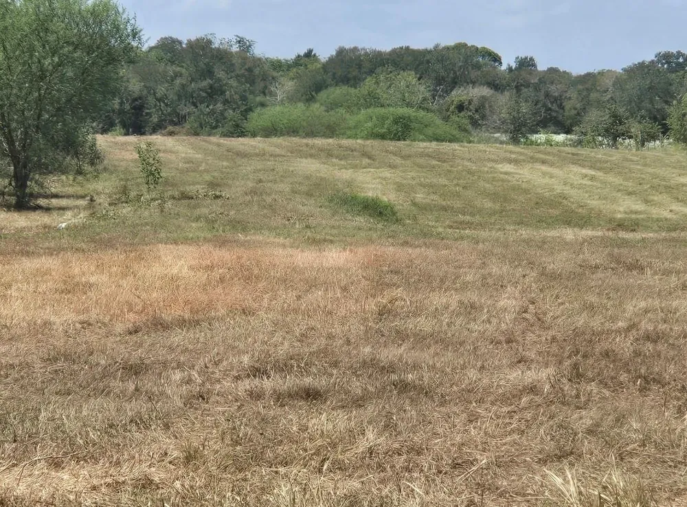 NW Hilltop Road East Bernard, TX 77435
