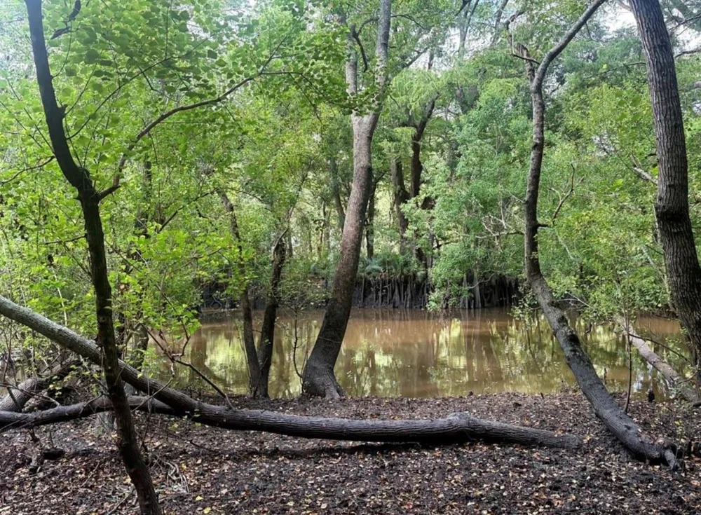 NW Hilltop Road East Bernard, TX 77435