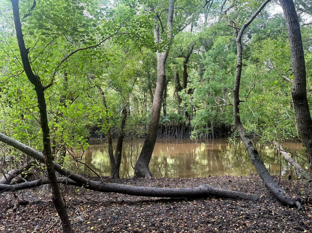NW Hilltop Road East Bernard, TX 77435