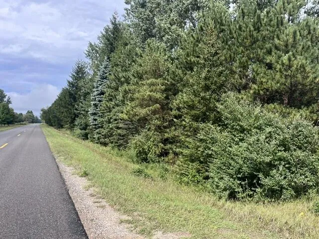 145 Erdman Road Bear Lake, MI 49614