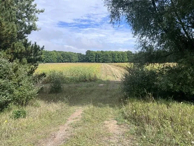 145 Erdman Road Bear Lake, MI 49614