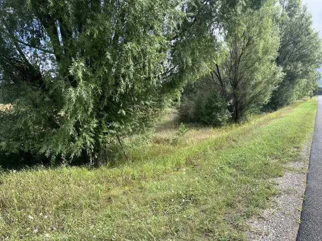 145 Erdman Road Bear Lake, MI 49614