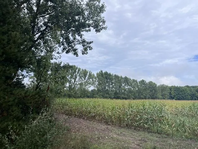 145 Erdman Road Bear Lake, MI 49614