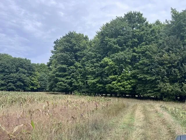 145 Erdman Road Bear Lake, MI 49614
