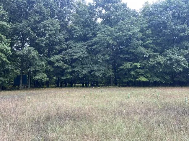 145 Erdman Road Bear Lake, MI 49614