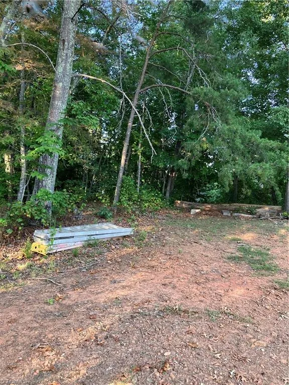 1016 Sanders Shelton Road Westfield, NC 27053
