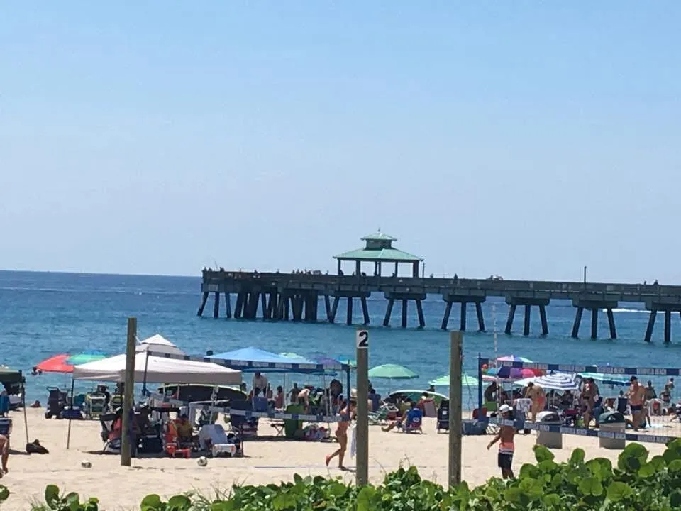 333 NE 21ST AVENUE #520 Deerfield Beach, FL 33441