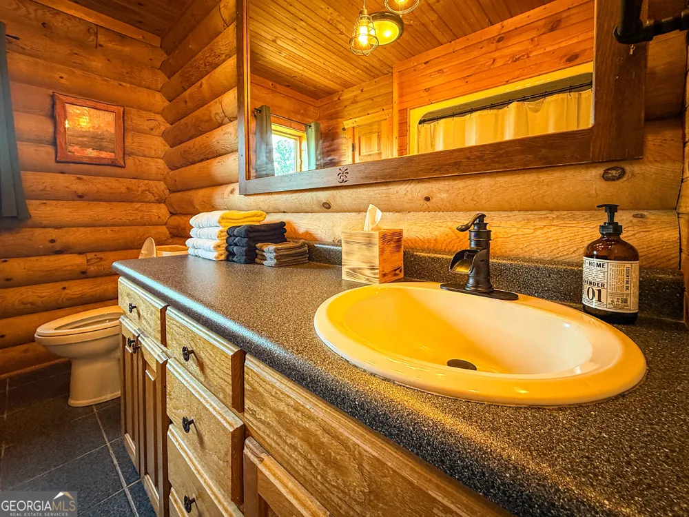 448 Dixie Meadow LN Mount Airy, GA 30563