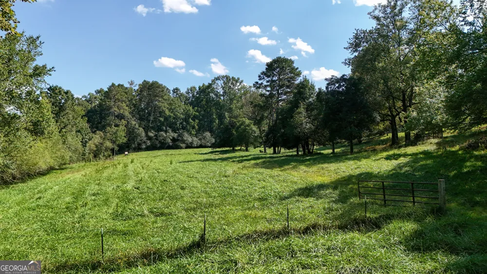 448 Dixie Meadow LN Mount Airy, GA 30563