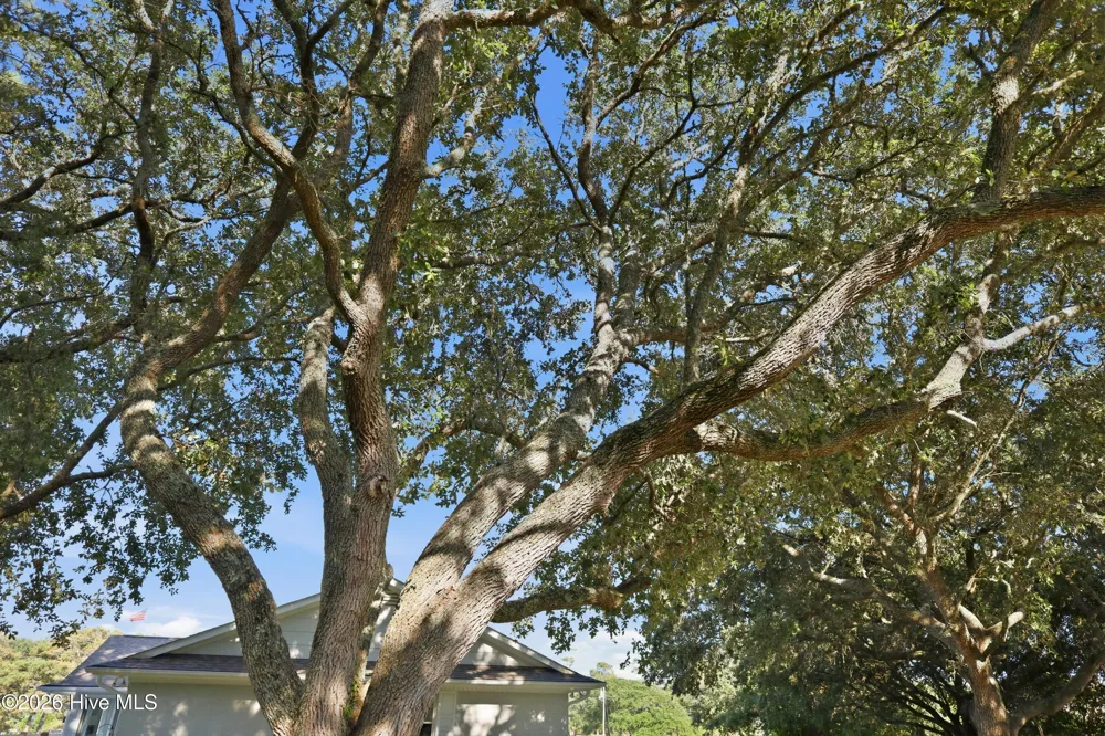 104 Sea Trace Lane Newport, NC 28570