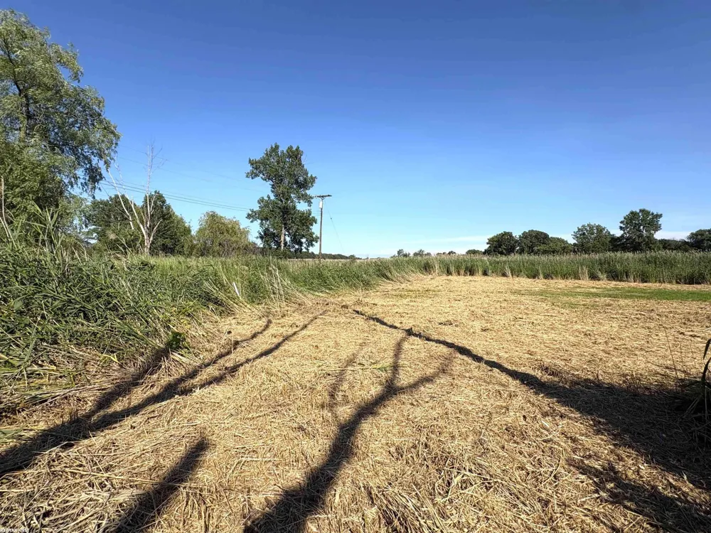 2483 Roy Drive Clay Township, MI 48028