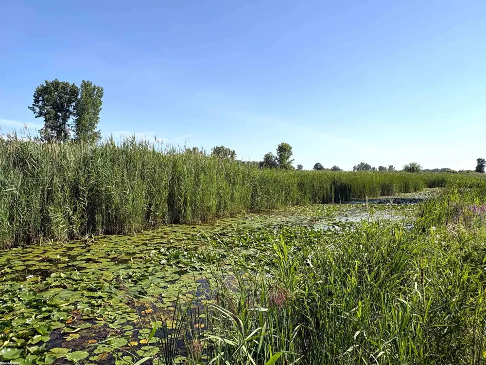 2483 Roy Drive Clay Township, MI 48028
