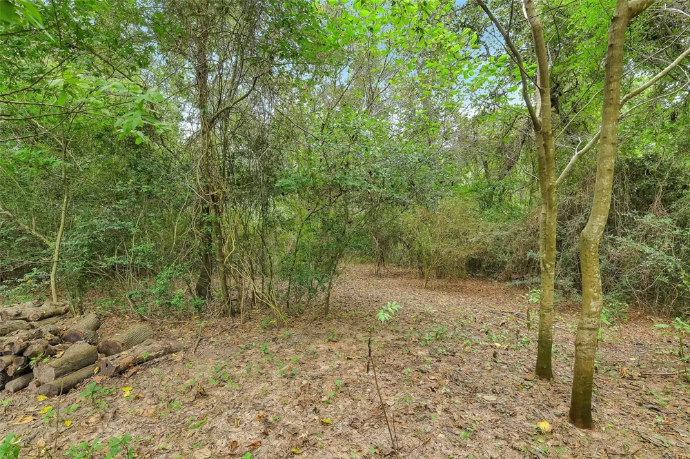 100 Oak Hollow Boulevard Hockley, TX 77447