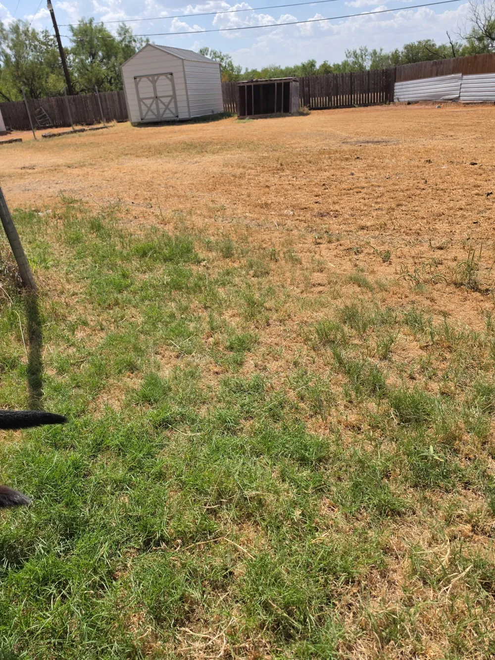 23 Reagan Circle Abilene, TX 79605