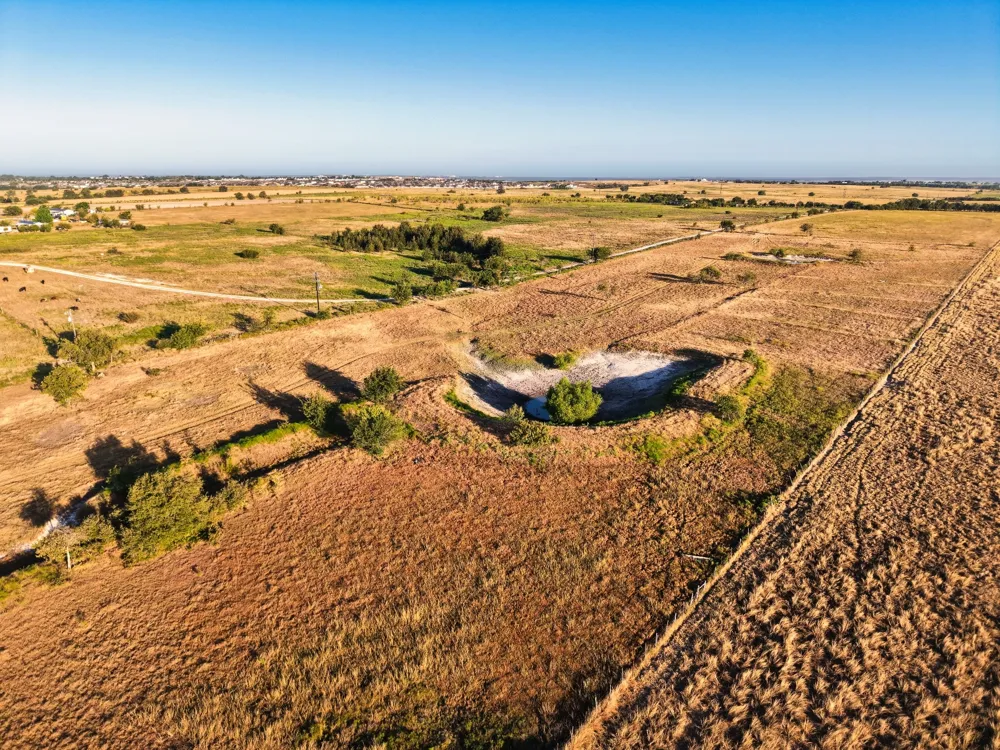 1951 Fm-487 Jarrell, TX 76537