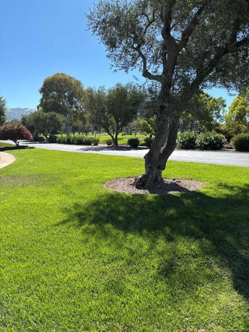 5109 Cribari Place San Jose, CA 95135