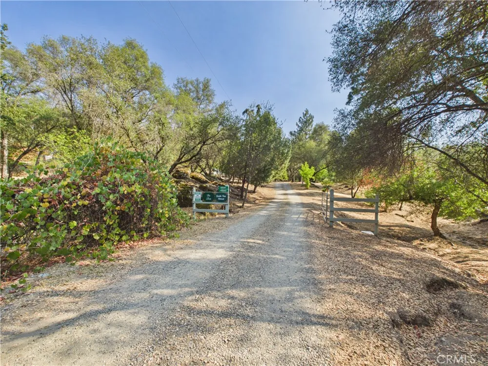 4583 Ben Hur Mariposa, CA 95338