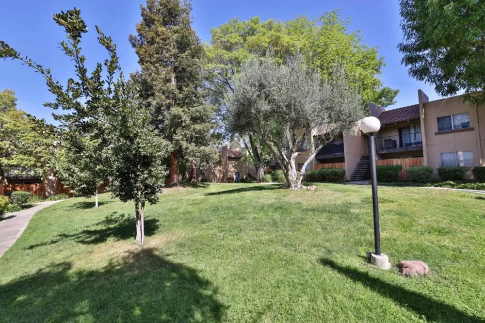 247 Capitol Avenue #161 San Jose, CA 95127