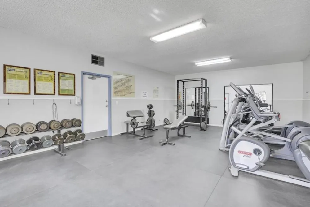 247 Capitol Avenue #161 San Jose, CA 95127