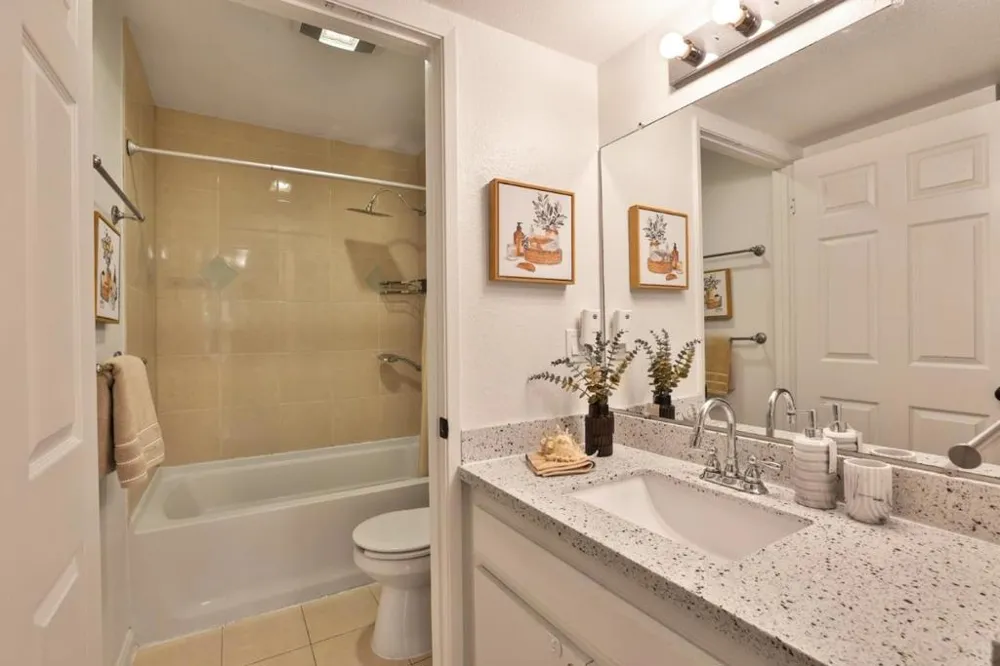 247 Capitol Avenue #161 San Jose, CA 95127