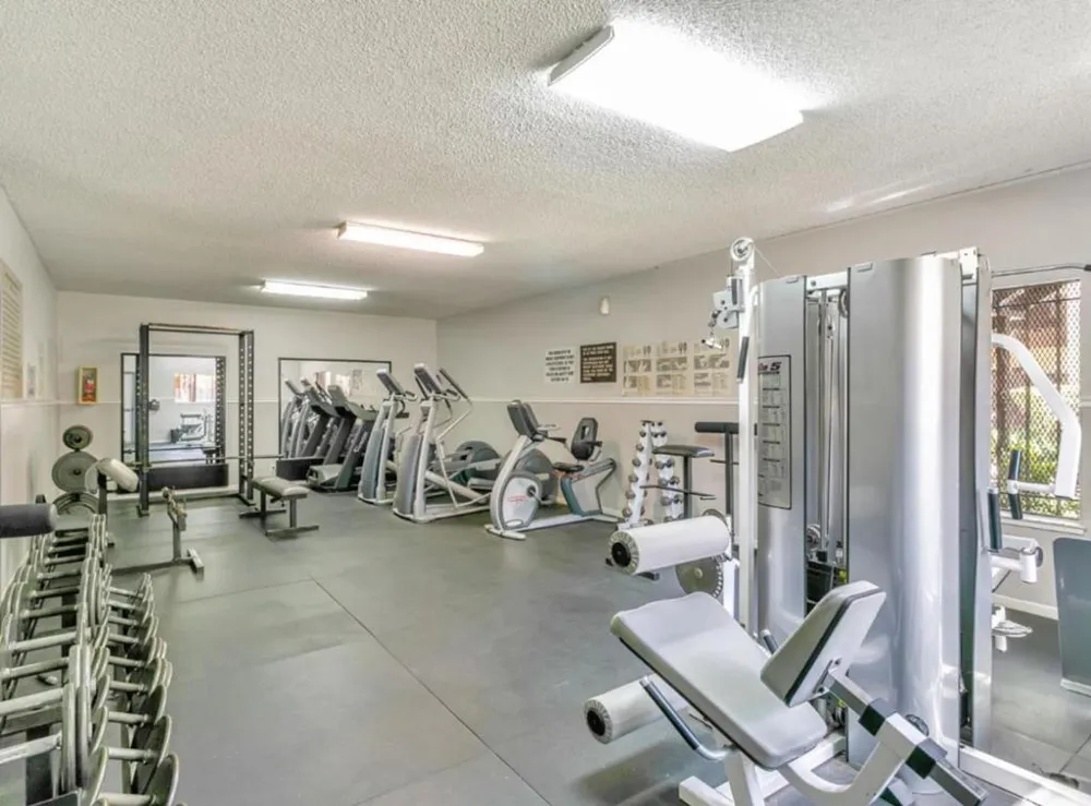 247 Capitol Avenue #161 San Jose, CA 95127