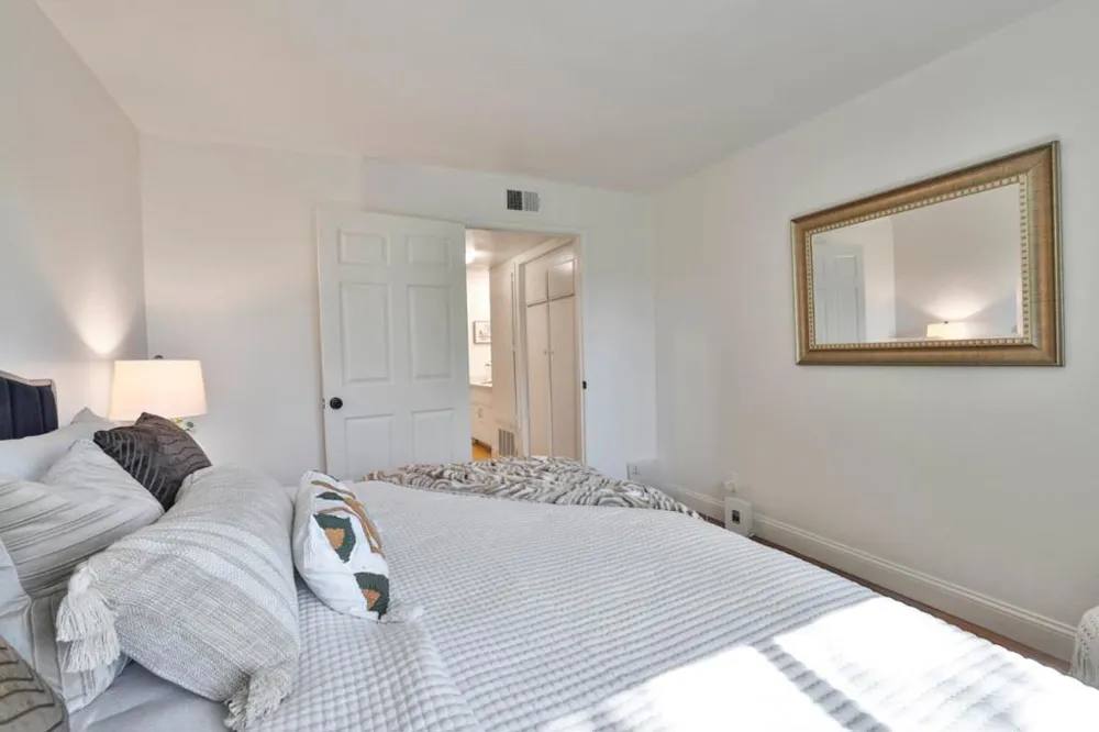 247 Capitol Avenue #161 San Jose, CA 95127