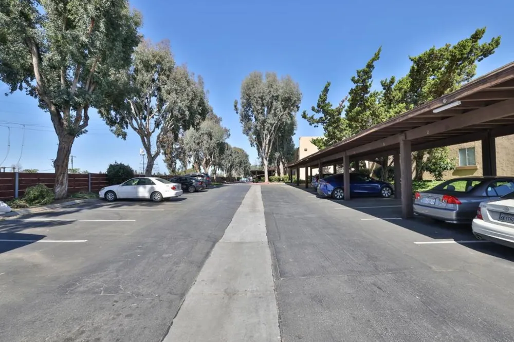 247 Capitol Avenue #161 San Jose, CA 95127