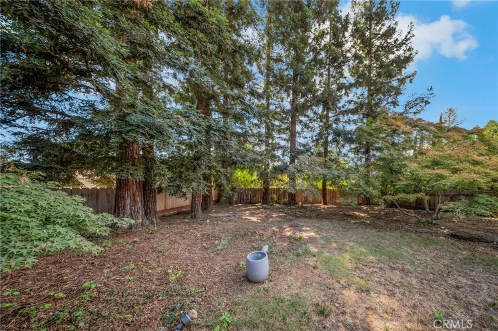 645 Black Oak Drive Chico, CA 95926