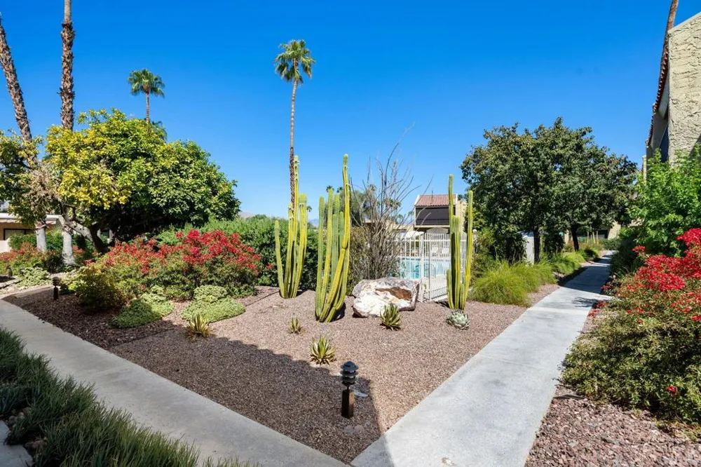 2338 Los Patos Drive Palm Springs, CA 92264