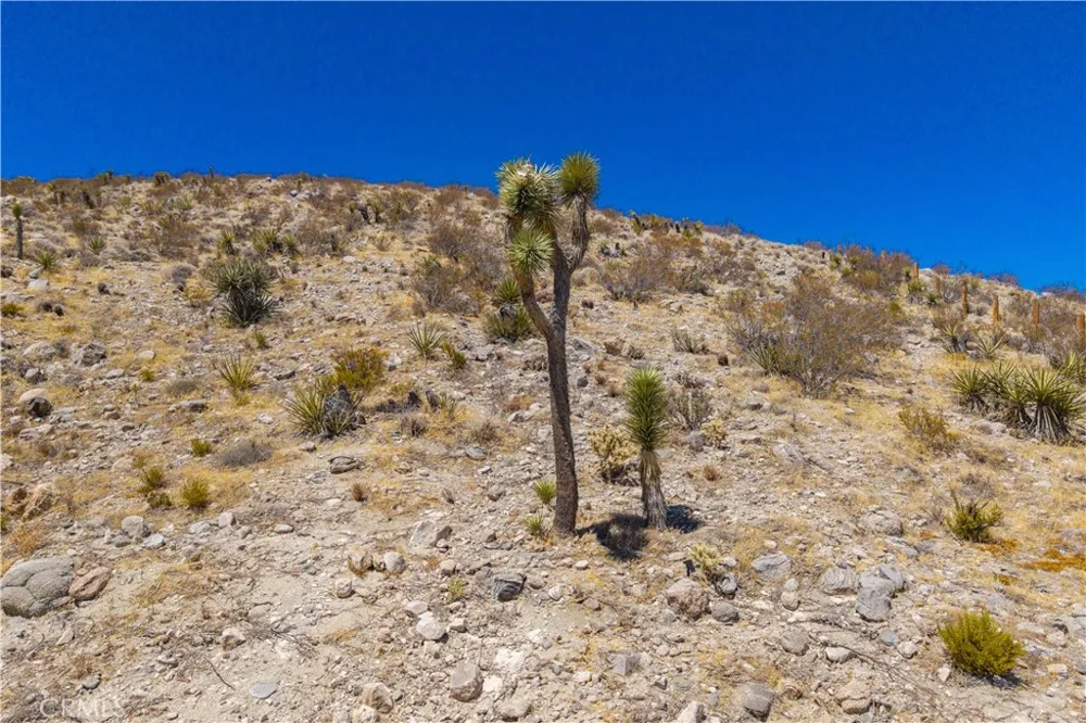 8264 Balsa Avenue Yucca Valley, CA 92284