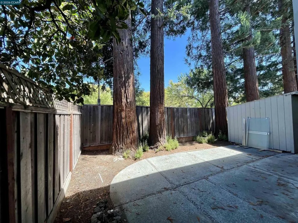 218 El Dorado Ave Danville, CA 94526