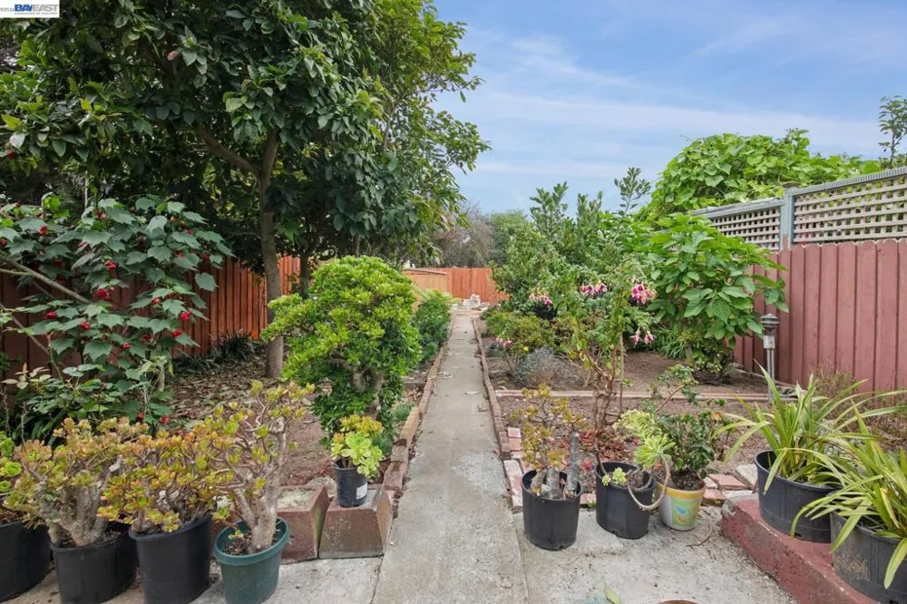 164 Miriam St Daly City, CA 94014