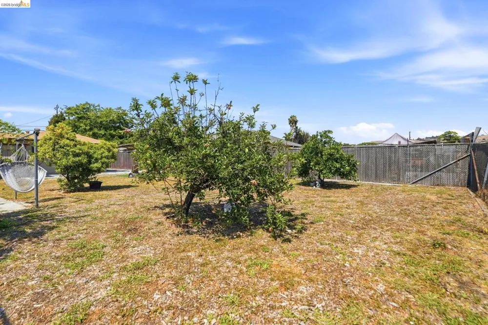 290 Shepherd Ave Hayward, CA 94544