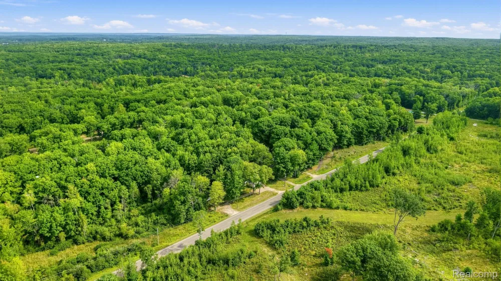 2242 W Lily Lake Road Greenwood Township, MI 48625