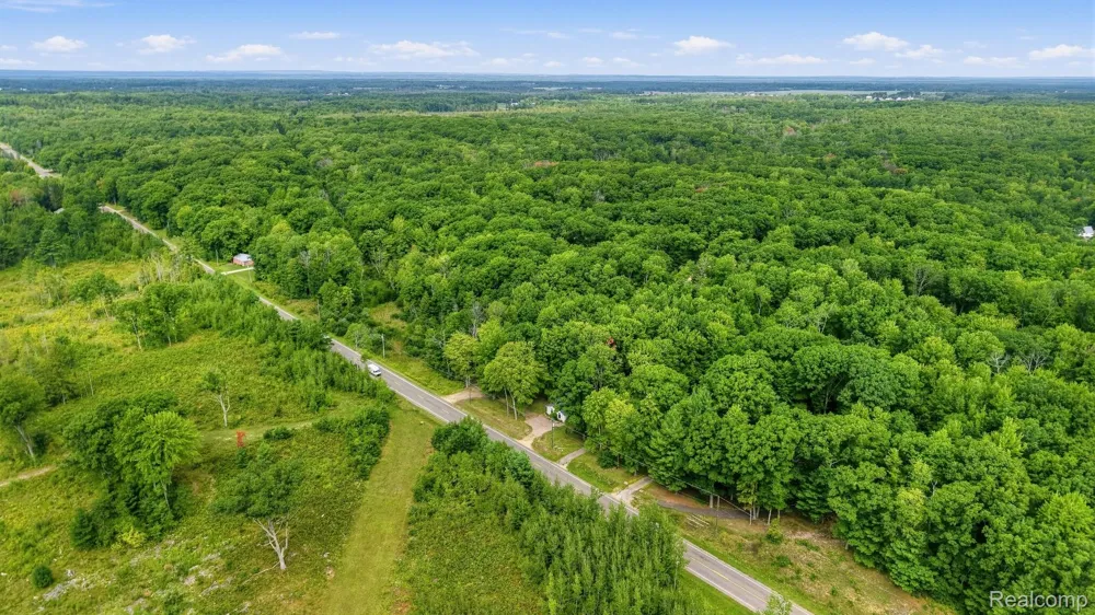 2242 W Lily Lake Road Greenwood Township, MI 48625