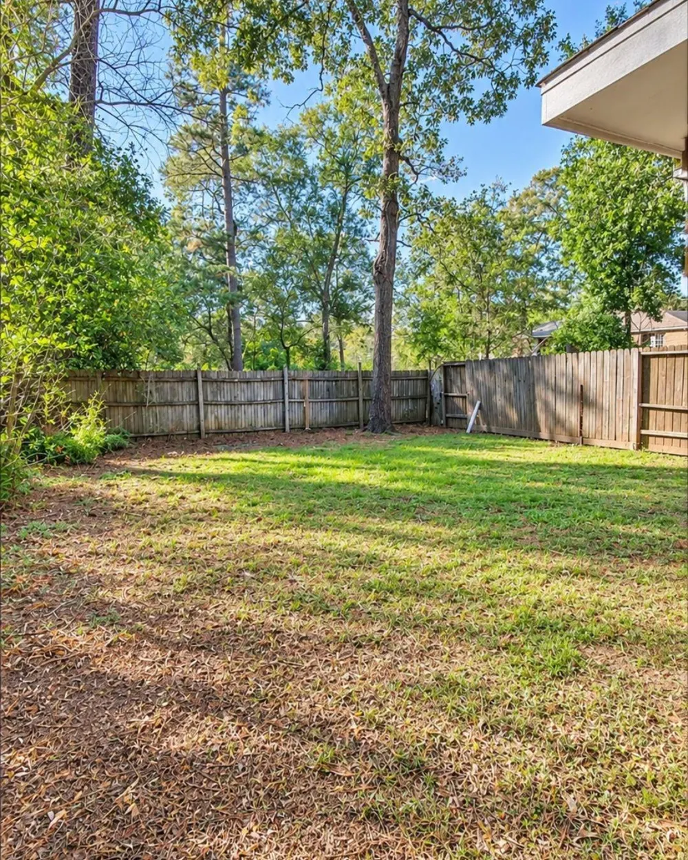 1203 Pacific Street Conroe, TX 77301