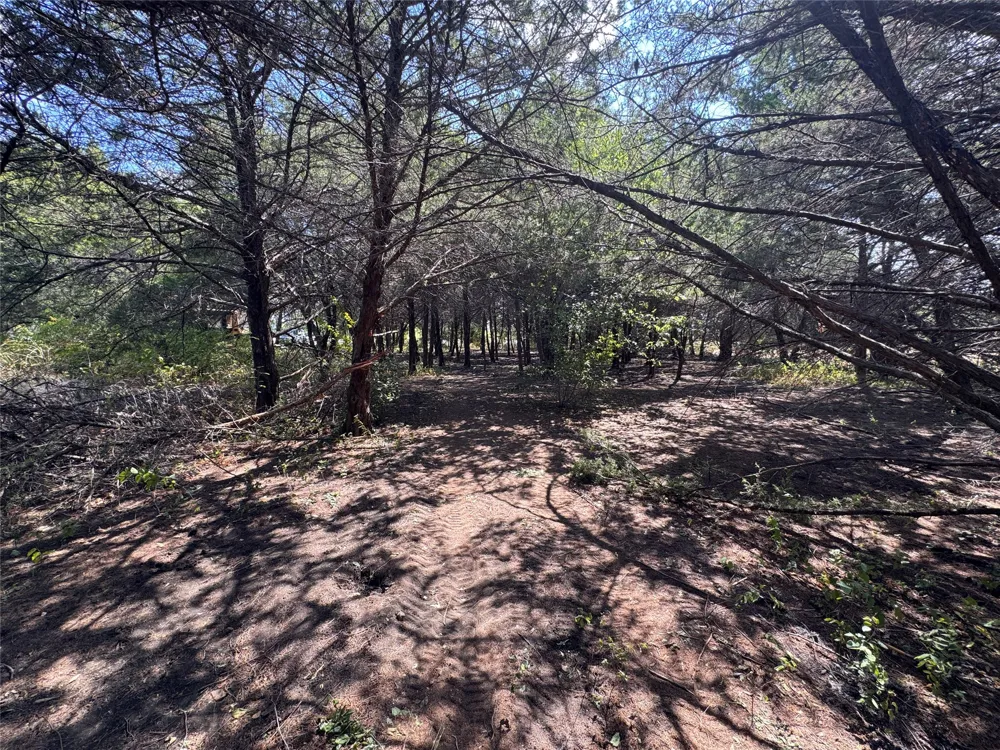6395 SH 160 Highway Whitewright, TX 75491
